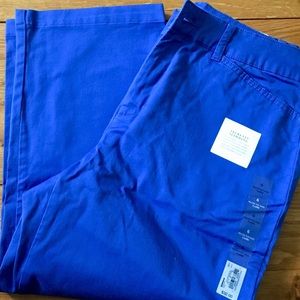 Womans Capri Pants Blue Size 6 NWT